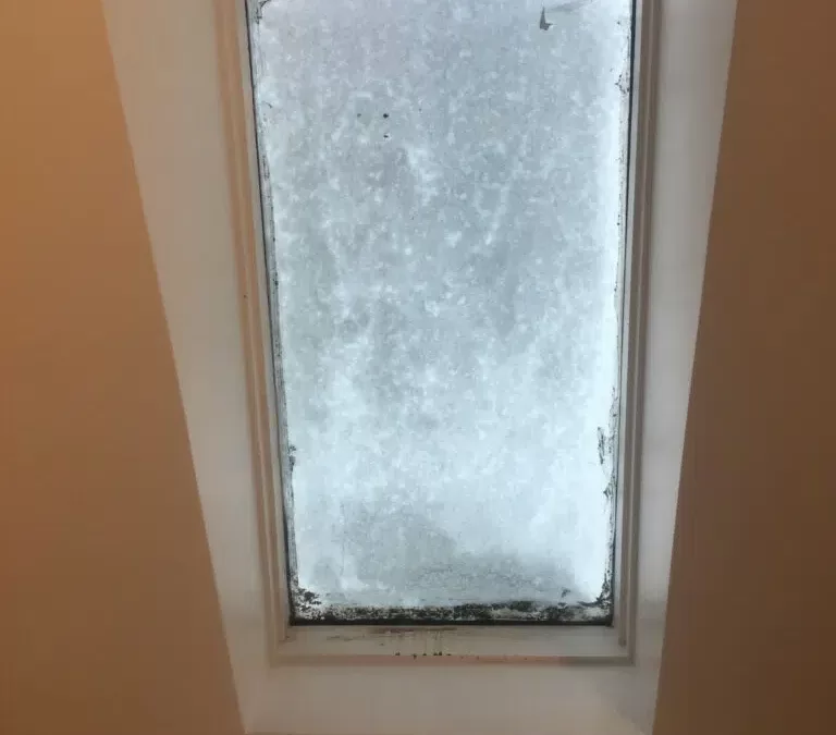 skylights leaking