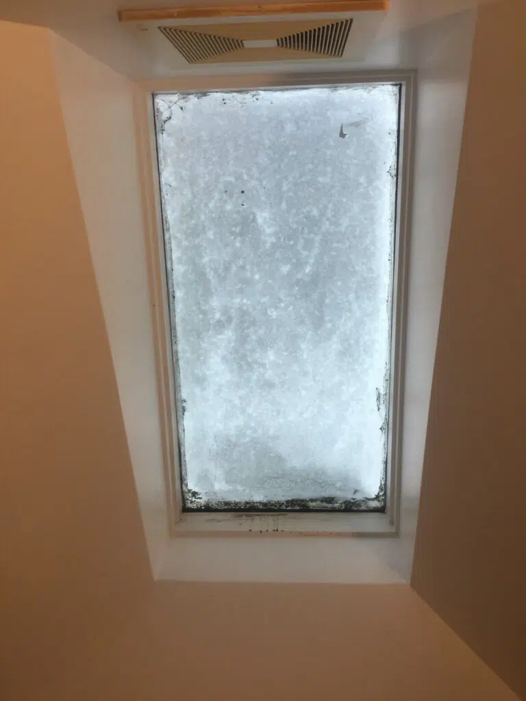 The Advantages and Disadvantages of Skylights Solar Whiz Lights